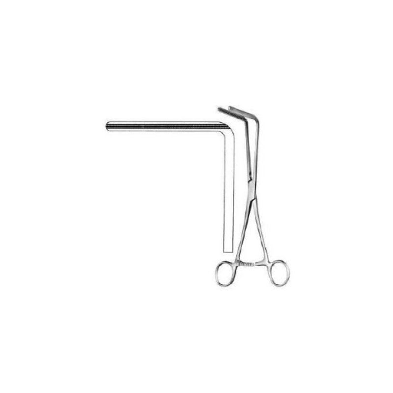 b-1