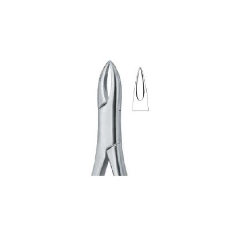 b-1