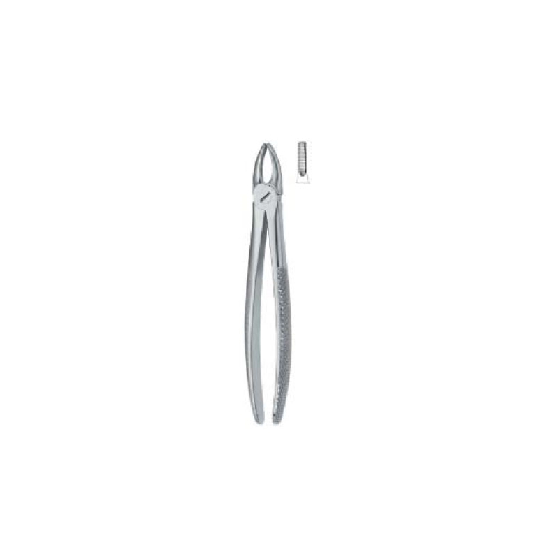 b-1