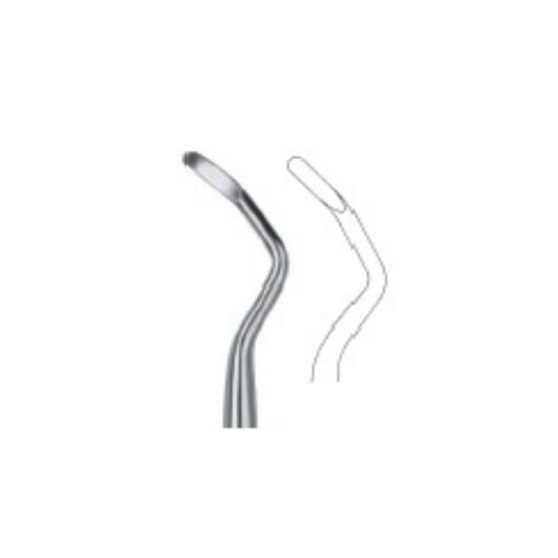 b-1